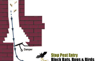 4 Steps to Stop Bats and Birds from Entering Your Fireplace Chimney